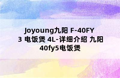 Joyoung九阳 F-40FY3 电饭煲 4L-详细介绍 九阳40fy5电饭煲